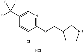 3-Chloro-2-(pyrrolidin-3-ylMethoxy)-5-trifluoroMethyl-pyridine hydrochloride Struktur