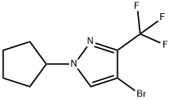 4-BroMo-1-cyclopentyl-3-trifluoroMethyl-1H-pyrazole Struktur