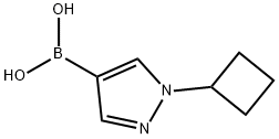 (1-Cyclobutylpyrazol-4-yl)boronic acid Struktur