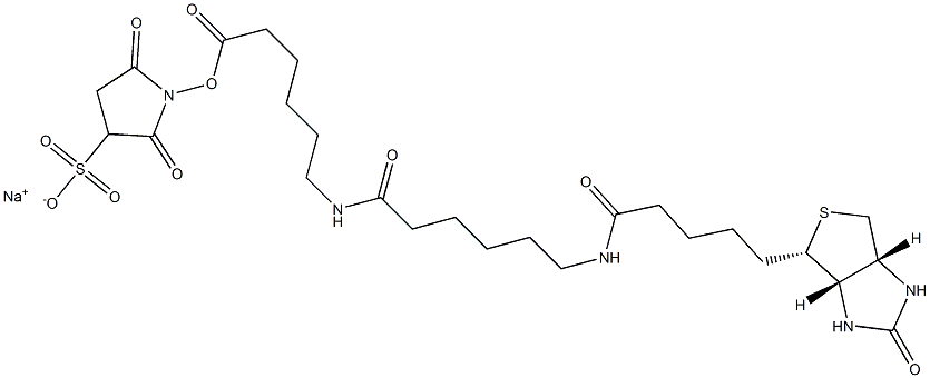 SULFO-NHS-LC-LC-BIOTIN Struktur