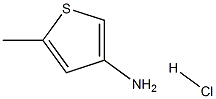 5-Methylthiophen-3-aMine hydrochloride Struktur