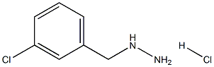 (3-Chlorobenzyl)hydrazine hydrochloride Struktur