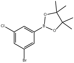 3-BroMo-5-chlorophenylboronic acid pinacol ester Struktur