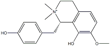 oblongine