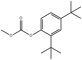 Carbonic acid, 2,4-bis(1,1-diMethylethyl)phenyl Methyl ester Struktur