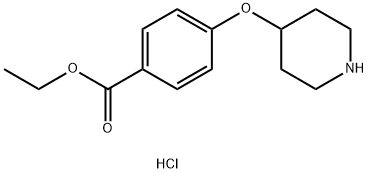 4-(4-Piperidinyloxy)benzoic acid ethyl ester HCl Struktur