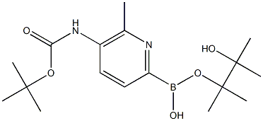 Boc-5-AMino-6-Methylpyridine-2-boronic acid pinacol ester Struktur