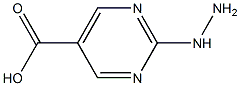 2-HydrazinylpyriMidine-5-carboxylic acid Struktur