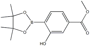 Methyl 3-hydroxy-4-(4,4,5,5-tetraMethyl-1,3,2-dioxaborolan-2-yl)benzoate|