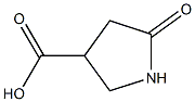 5-Oxopyrrolidine-3-carboxylic acid Struktur