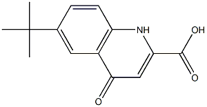 6-tert-Butyl-4-oxo-1,4-dihydro-quinoline-2-carboxylic acid Struktur