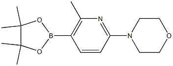 4-(6-Methyl-5-(4,4,5,5-tetraMethyl-1,3,2-dioxaborolan-2-yl)pyridin-2-yl)Morpholine Struktur