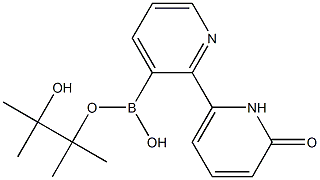 6-(1H-PYRIDIN-2-ONE)PYRIDINE-3-BORONIC ACID PINACOL ESTER Struktur