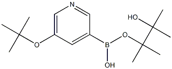 5-TERT-BUTOXYPYRIDIN-3-YLBORONIC ACID PINACOL ESTER Struktur