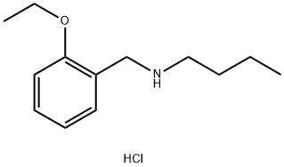 butyl[(2-ethoxyphenyl)methyl]amine hydrochloride Struktur