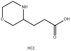 3-Morpholin-3-yl-propionic acid hydrochloride Struktur