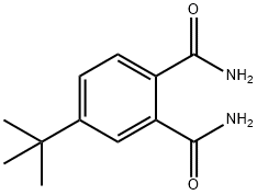 4-tert-butylbenzene-1,2-dicarboxamide Struktur