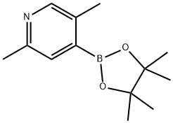 2,5-Dimethyl-4-(4,4,5,5-tetramethyl-1,3,2-dioxaborolan-2-yl)-pyridine Struktur