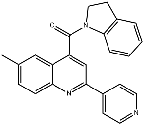 2,3-dihydroindol-1-yl-(6-methyl-2-pyridin-4-ylquinolin-4-yl)methanone Struktur