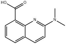 2-Dimethylamino-quinoline-8-carboxylic acid Struktur