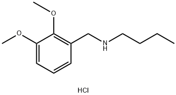 butyl[(2,3-dimethoxyphenyl)methyl]amine hydrochloride Struktur