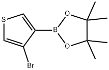 (4-BROMOTHIOPHEN-3-YL)BORONIC ACID PINACOL ESTER Struktur