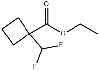 1-Difluoromethyl-cyclobutanecarboxylic acid ethyl ester Struktur