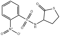 2-nitro-N-(2-oxothiolan-3-yl)benzenesulfonamide Struktur