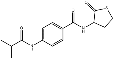 4-(2-methylpropanoylamino)-N-(2-oxothiolan-3-yl)benzamide Struktur