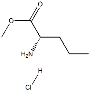 methyl norvalinate hydrochloride Struktur