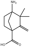 4-Amino-3,3-dimethyl-2-methylene-bicyclo[2.2.1]heptane-1-carboxylic acid Struktur