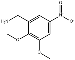 (2,3-dimethoxy-5-nitrophenyl)methanamine Struktur