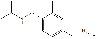 (butan-2-yl)[(2,4-dimethylphenyl)methyl]amine hydrochloride Struktur