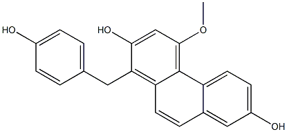  化學(xué)構(gòu)造式