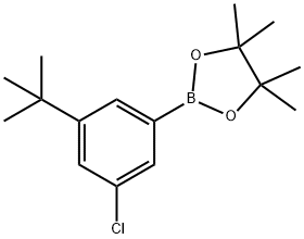 2-(3-TERT-BUTYL-5-CHLOROPHENYL)-4,4,5,5-TETRAMETHYL-1,3,2-DIOXABOROLANE Struktur