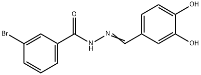 3-bromo-N'-(3,4-dihydroxybenzylidene)benzohydrazide Struktur