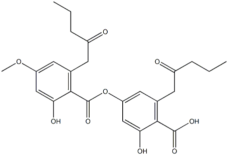  化學(xué)構(gòu)造式