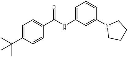 4-tert-butyl-N-[3-(pyrrolidin-1-yl)phenyl]benzamide Structure