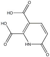 6-oxo-1H-pyridine-2,3-dicarboxylic acid Struktur