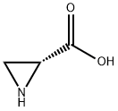 (R)-Aziridine-2-carboxylic acid Struktur