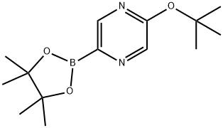 5-tert-butoxypyrazin-2-ylboronic acid pinacol ester Struktur