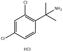 2-(2,4-Dichlorophenyl)propan-2-amine hydrochloride Struktur