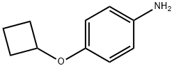 4-(Cyclobutyloxy)benzenamine Structure