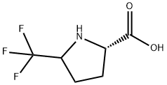 5-Trifluoromethyl-pyrrolidine-2-carboxylic acid Struktur