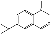 5-tert-butyl-2-(dimethylamino)benzaldehyde Struktur