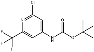 tert-Butyl (2-chloro-6-(trifluoromethyl)pyridin-4-yl)carbamate Struktur