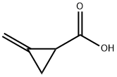 2-methylenecyclopropanecarboxylic acid Struktur