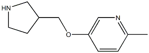 2-methyl-5-(pyrrolidin-3-ylmethoxy)pyridine Struktur