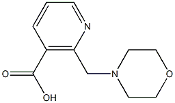 2-(morpholinomethyl)nicotinic acid Struktur