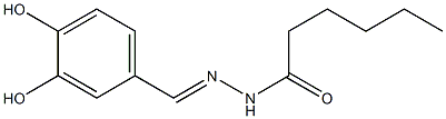 (E)-N'-(3,4-dihydroxybenzylidene)hexanehydrazide Struktur